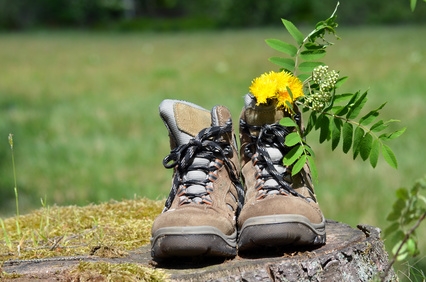 Wanderschuhe_mit_Blume